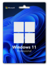 windows-11-professional-key-win-keys-001